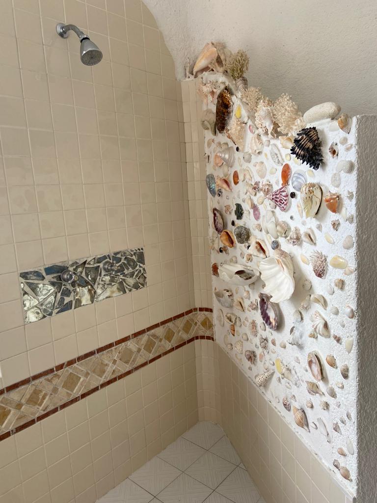 Regadera recamara casa principal